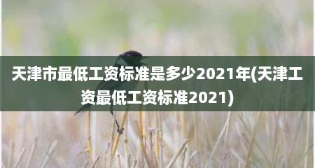 天津市最低工资标准是多少2021年(天津工资最低工资标准2021)