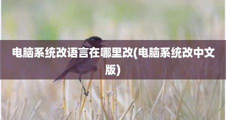 电脑系统改语言在哪里改(电脑系统改中文版)