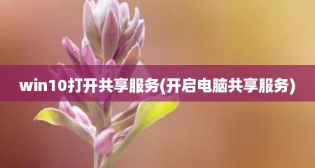 win10打开共享服务(开启电脑共享服务)