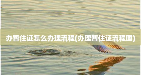 办暂住证怎么办理流程(办理暂住证流程图)