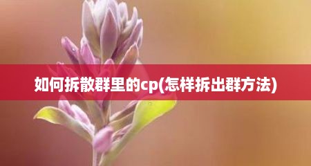 如何拆散群里的cp(怎样拆出群方法)