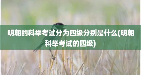 明朝的科举考试分为四级分别是什么(明朝科举考试的四级)