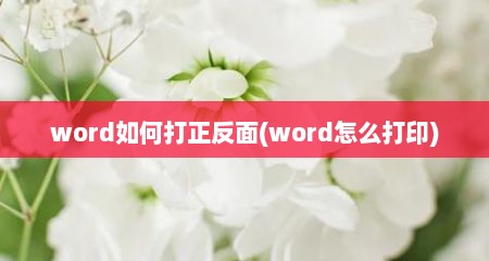 word如何打正反面(word怎么打印)