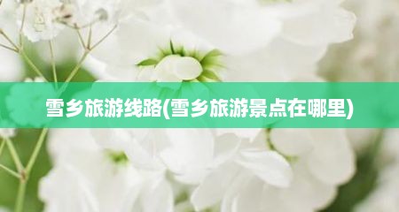 雪乡旅游线路(雪乡旅游景点在哪里)