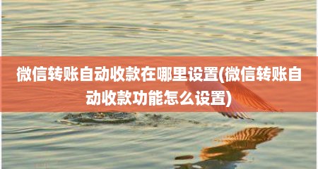 微信转账自动收款在哪里设置(微信转账自动收款功能怎么设置)