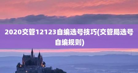 2020交管12123自编选号技巧(交管局选号自编规则)