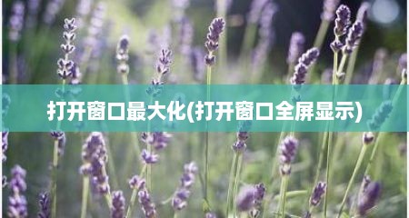 打开窗口最大化(打开窗口全屏显示)