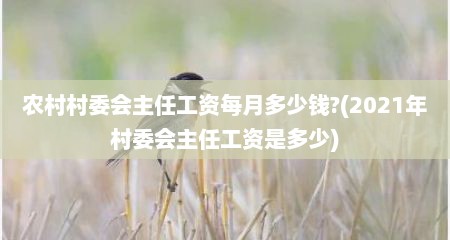 农村村委会主任工资每月多少钱?(2021年村委会主任工资是多少)