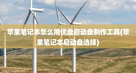 苹果笔记本怎么用优盘启动盘制作工具(苹果笔记本启动盘选择)