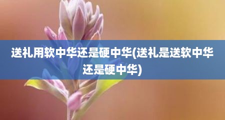 送礼用软中华还是硬中华(送礼是送软中华还是硬中华)
