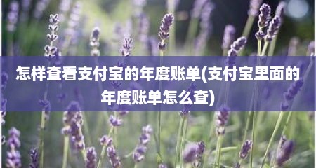 怎样查看支付宝的年度账单(支付宝里面的年度账单怎么查)