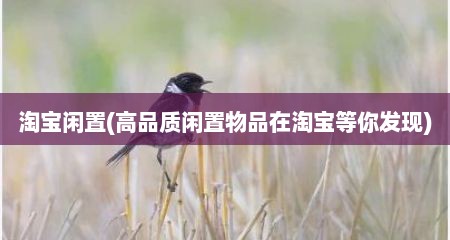 淘宝闲置(高品质闲置物品在淘宝寺尔发现)