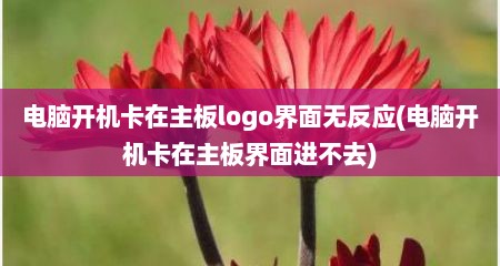 电脑开机卡在主板logo界面无反应(电脑开机卡在主板界面进不去)