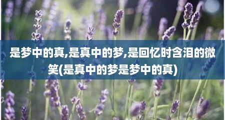 是梦中的真,是真中的梦,是回忆时含泪的微笑(是真中的梦是梦中的真)