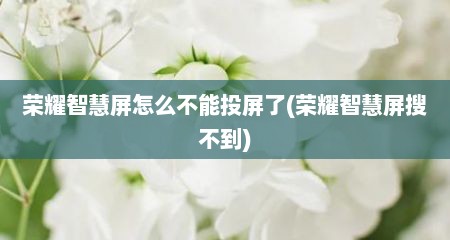 荣耀智慧屏怎么不能投屏了(荣耀智慧屏搜不到)