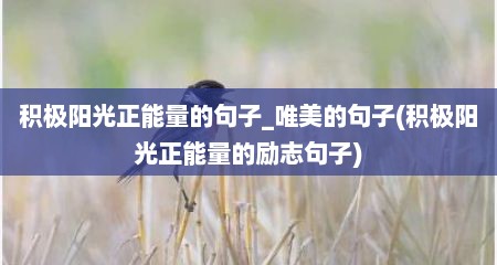 积极阳光正能量的句子_唯美的句子(积极阳光正能量的励志句子)