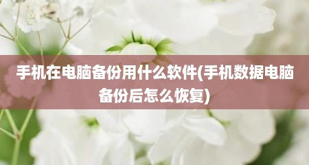 手机在电脑备份用什么软件(手机数据电脑备份后怎么恢复)