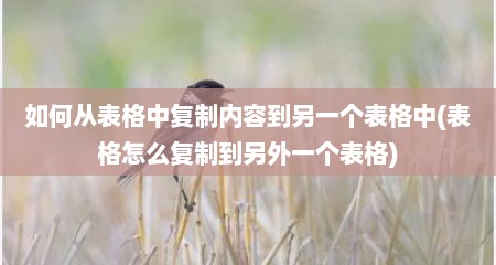 如何从表格中复制内容到另一个表格中(表格怎么复制到另外一个表格)