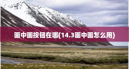 画中画按钮在哪(14.3画中画怎么用)
