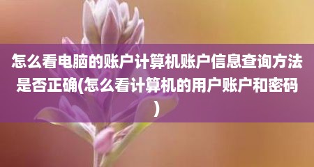 怎么看电脑的账户计算机账户信息查询方法是否正确(怎么看计算机的用户账户和密码)