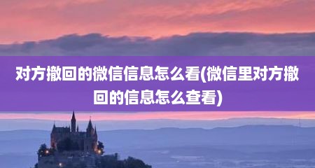 对方撤回的微信信息怎么看(微信里对方撤回的信息怎么查看)