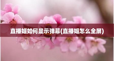 直播姬如何显示弹幕(直播姬怎么全屏)