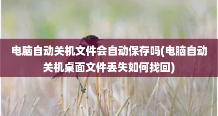 电脑自动关机文件会自动保存吗(电脑自动关机桌面文件丢失如何找回)
