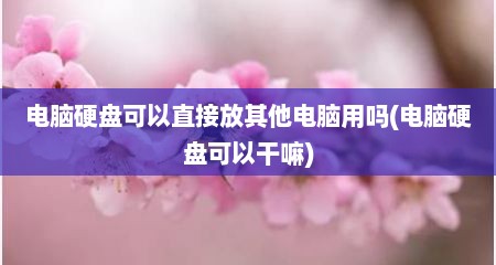 电脑硬盘可以直接放其他电脑用吗(电脑硬盘可以干嘛)
