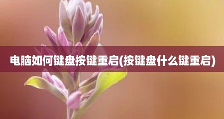 电脑如何键盘按键重启(按键盘什么键重启)