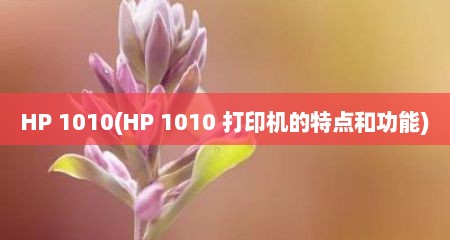 HP 1010(HP 1010 打印机的特点和功能)