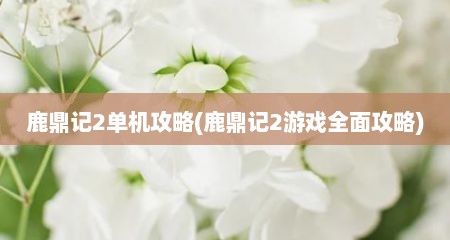 鹿鼎记2单机攻略(鹿鼎记2游戏全面攻略)