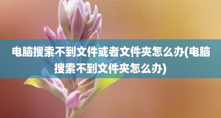 电脑搜索不到文件或者文件夹怎么办(电脑搜索不到文件夹怎么办)