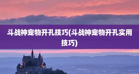 斗战神宠物开孔技巧(斗战神宠物开孔实用技巧)