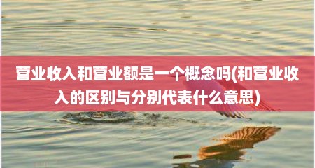 营业收入和营业额是一个概念吗(和营业收入的区别与分别代表什么意思)