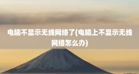 电脑不显示无线网络了(电脑上不显示无线网络怎么办)