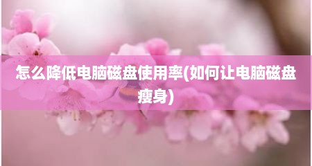 怎么降低电脑磁盘使用率(如何让电脑磁盘瘦身)