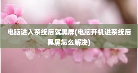 电脑进入系统后就黑屏(电脑开机进系统后黑屏怎么解决)
