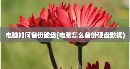 电脑如何备份磁盘(电脑怎么备份硬盘数据)