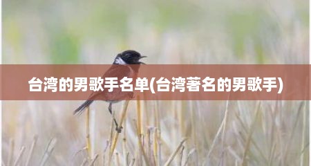 台湾的男歌手名单(台湾著名的男歌手)