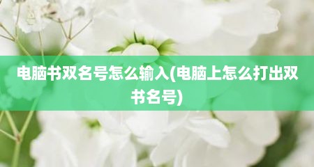 电脑书双名号怎么输入(电脑上怎么打出双书名号)