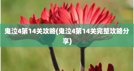 鬼泣4第14关攻略(鬼泣4第14关完整攻略分享)