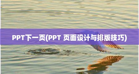 PPT下一页(PPT 页面设计与排版技巧)