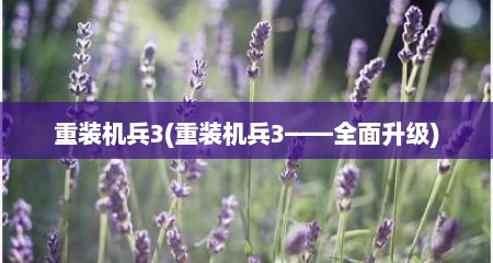 重装机兵3(重装机兵3——全面升级)