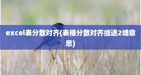 excel表分散对齐(表格分散对齐缩进2啥意思)