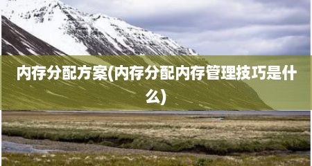 内存分配方案(内存分配内存管理技巧是什么)