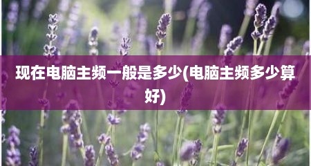 现在电脑主频一般是多少(电脑主频多少算好)