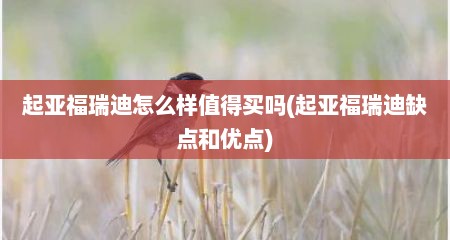 起亚福瑞迪怎么样值得买吗(起亚福瑞迪缺点和优点)