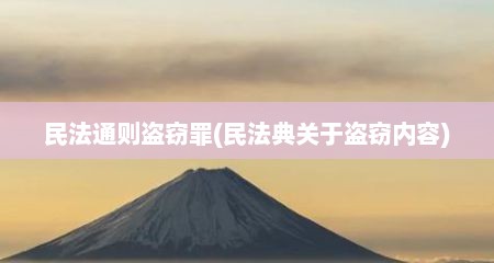 民法通则盗窃罪(民法典关于盗窃内容)