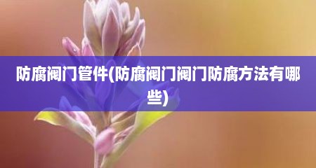 防腐阀门管件(防腐阀门阀门防腐方法有哪些)