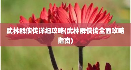 武林群侠传详细攻略(武林群侠传全面攻略指南)